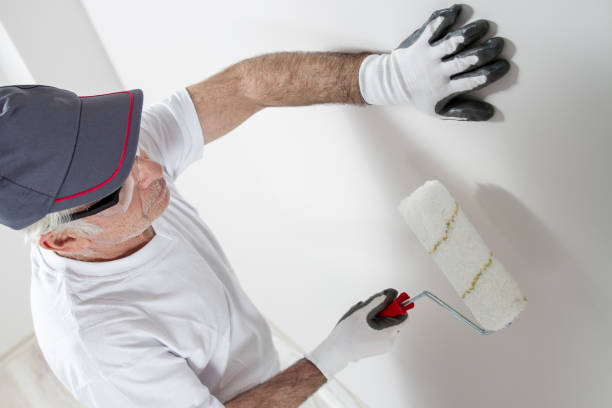 Professional Mold Removal in Charenton, LA