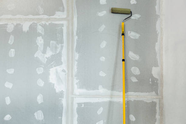 Best Mold Documentation for Insurance Claims  in Charenton, LA