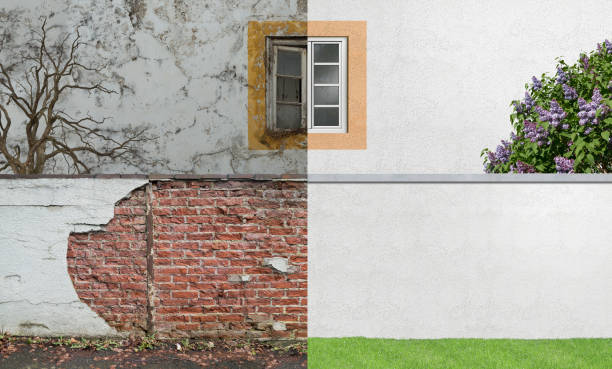 Best Basement Mold Removal  in Charenton, LA