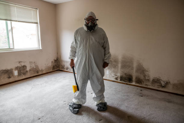 Best Water Damage & Mold Remediation  in Charenton, LA